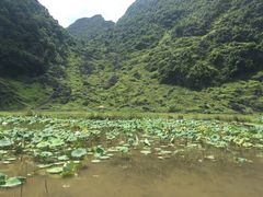 -靖西鹅泉风景区