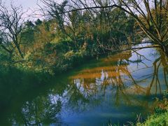 -西溪国家湿地公园