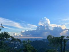 -黄埔油麻山森林公园
