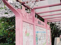 -高东镇樱花园