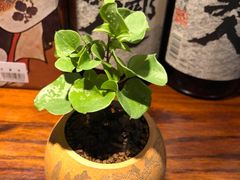 -麦秋寿司(富都广场店)