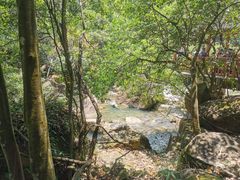 -广州白江湖森林公园