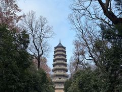 -灵谷景区