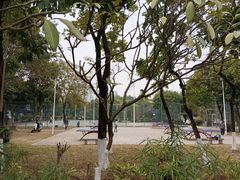 -飞来湖湿地公园