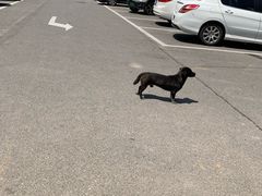 -大星发农发地农副产品批发市场-停车场