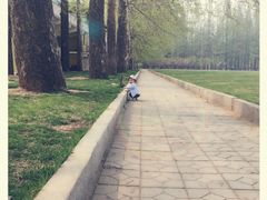 -大连理工大学(凌水校区)