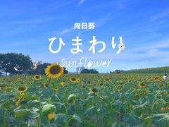 -光明小镇欢乐田园