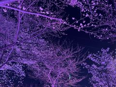 -西北湖绿化广场