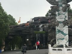 -自然谷恐龙园