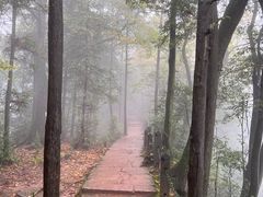-青城山