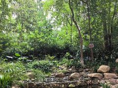 -成都市活水公园