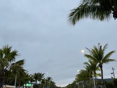 -亚龙湾国际玫瑰谷