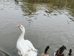 -新合益乡村农庄