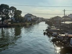 -丫丫蟹庄·苏式园林农家乐·阳澄湖大闸蟹(阳澄湖莲花岛店)