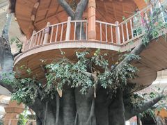 -南宫五洲植物乐园