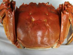 -渔娘蟹庄(阳澄湖莲花岛店)