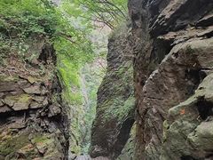 -五龙洞国家森林公园