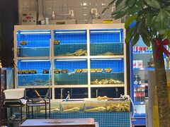 水产区-金龙·打边炉(南京西路店)