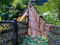 -广州白江湖森林公园