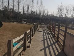 -前小桔亲子创意农场·草莓采摘·露营烧烤