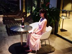-芽庄喜来登水疗酒店