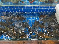 -星记小馆·小蓝龙·老南京砂锅菜(上海路店)