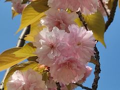 -昆山城市生态森林公园