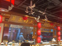-鸽子窝(黄村店)