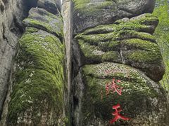 -汤旺河林海奇石景区