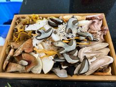 -草墩罗非鱼庄•野生菌•腊排骨(七星街上段店)