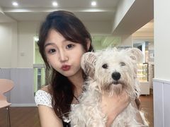-汪说·狗咖·拼豆·宠物周边DIY(旺城大厦店)