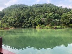 -广州白江湖森林公园