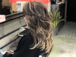 -SALON V