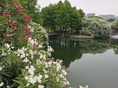 -尚贤河湿地