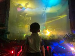 -恐龙探索乐园(磁器口店)