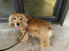 -美林湖温泉别墅度假村