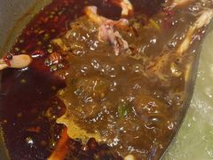 -铭记蛙小仙·活蛙畅享(CBD万达广场店)