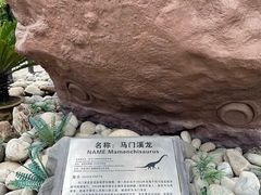 -陕西自然博物馆