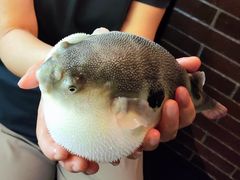 -永安鱼庄·镇江菜(东吴路店)