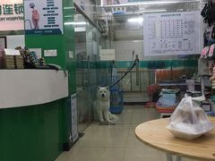 -瑞派动物医院·猫专科·至诚(江南中分院)