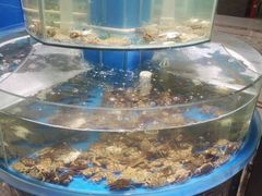 -四海蒸鲜蒸汽海鲜自助(北戴河店)
