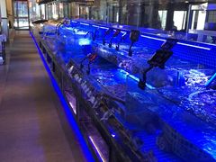 -渔民船说·北塘海鲜·天津菜·海肠捞饭(北塘古镇店)