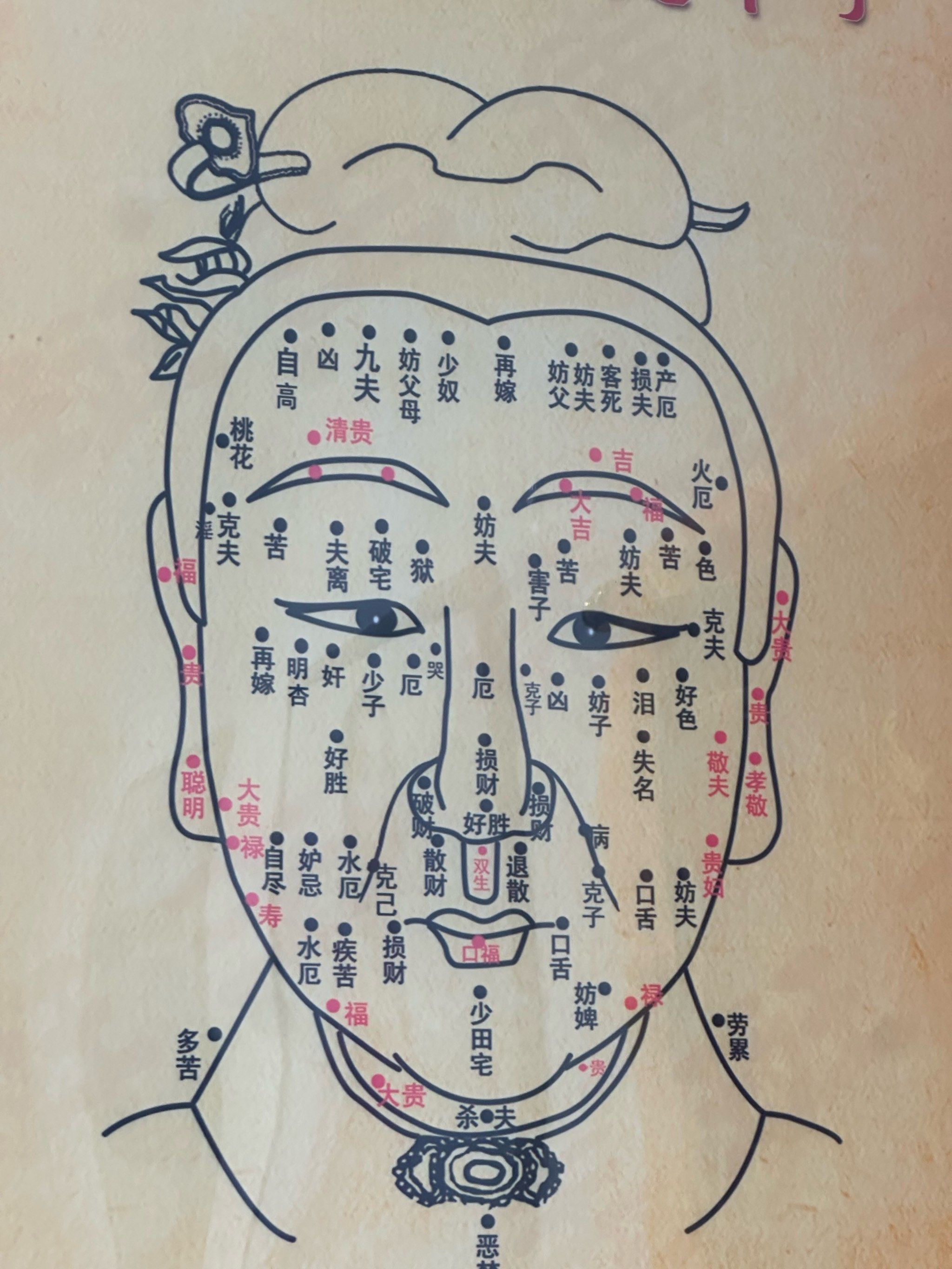 汲取中医的健康力