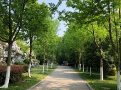-上海鲜花港