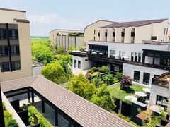 -上海崇明金茂凯悦酒店