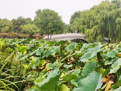 -西安浐灞国家湿地公园