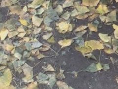 -长辛店二七公园