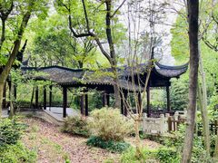 -上海佘山国家森林公园天马山园