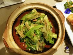 粤式虾膏啫生菜-尚一汤 广东炖汤(金桥国际店)