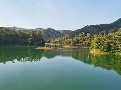 -佛山市三水区大南山森林公园